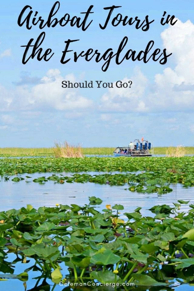 If you want to experience something wild, wonderful, and uniquely Florida? Consider taking an airboat tour of the Everglades. This is the American tropics, home to an ecosystem like no other. Click pin to learn more. #Everglades #Florida #AirboatTour #FortLauderdale