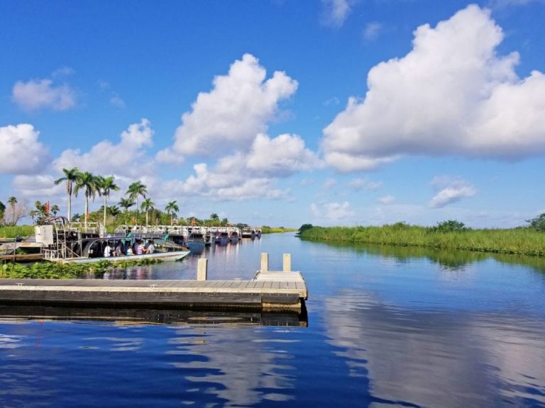 Airboat Tours in the Everglades - Should you go?