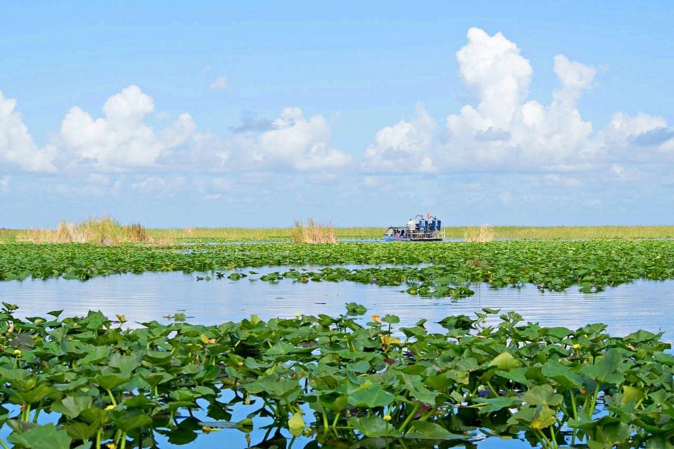 Airboat in Everglades
