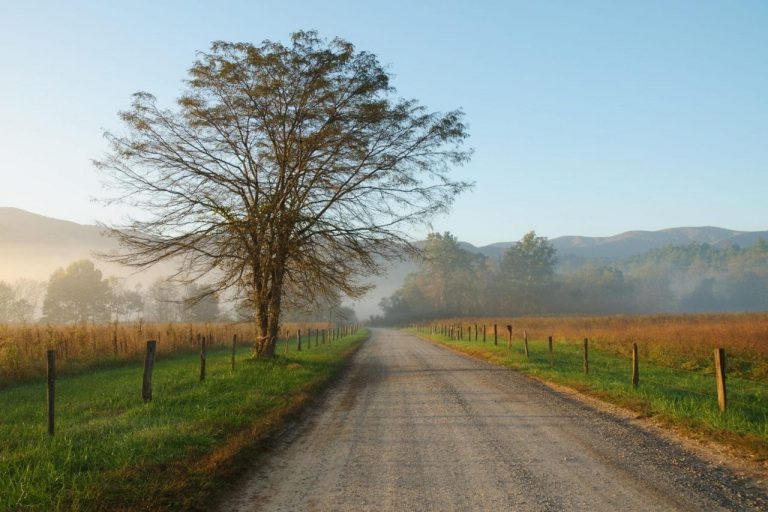 The Complete Guide to Cades Cove Loop