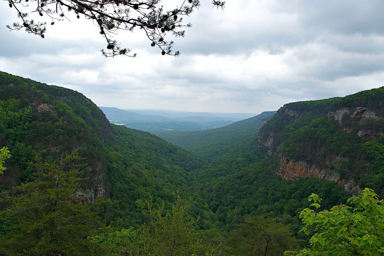 Cloudland Canyon overlooks should not be overlooked