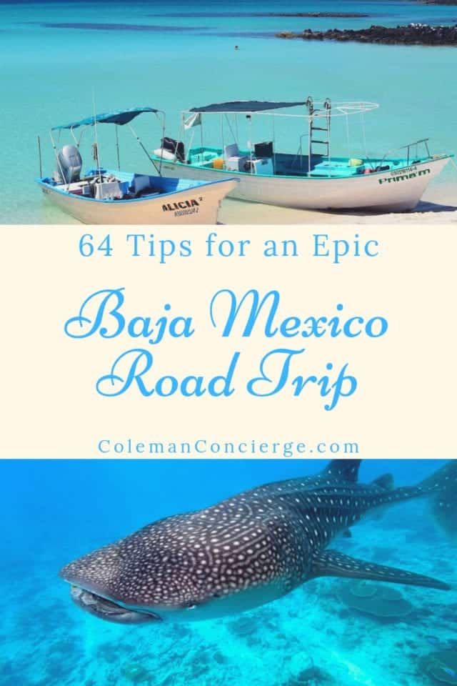 Boats on beach and whale shark in Baja Sur