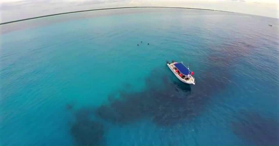 Dive boat via Scuba Life Cozumel