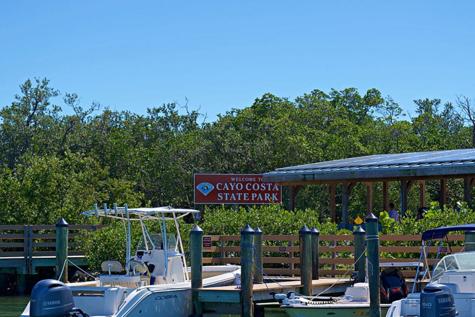Florida's best shelling at Cayo Costa State Park