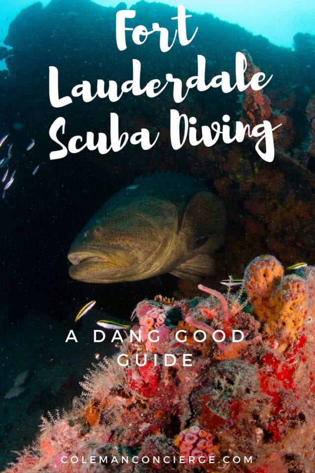Our dang good guide to Fort Lauderdale Scuba Diving describes dive sites from Boca Raton (Southern Palm Beach County) to Dania Beach (Northern Dade County) and all of Fort Lauderdale / Broward County in between. Take some time to click around our interactive map, loaded with site descriptions, links, photos, and even a few videos. #Scuba #FortLauderdale #Diving #Florida #ScubaDiving