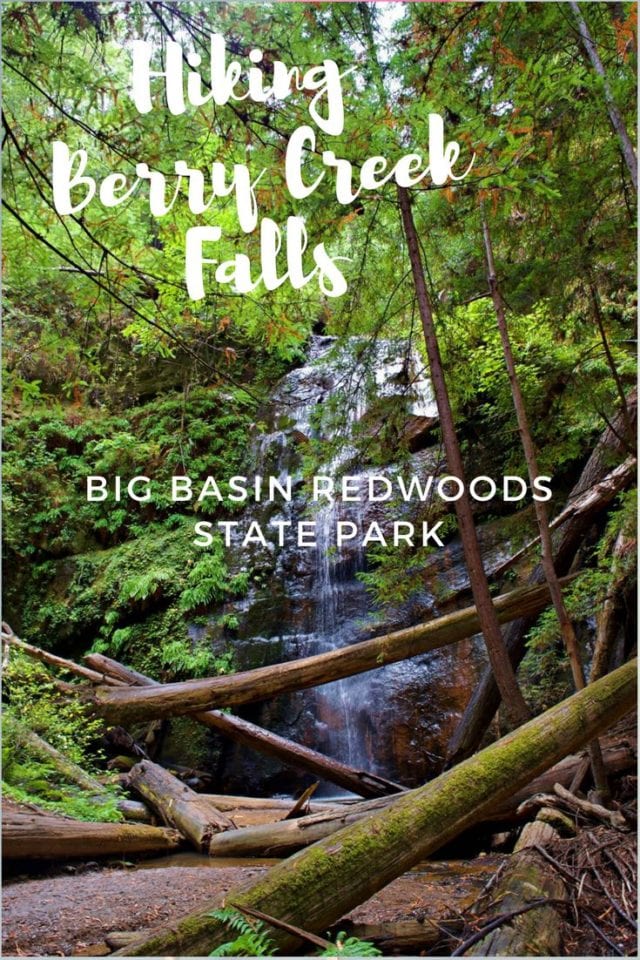 Hiking Berry Creek Falls Loop @ Big Basin Redwoods State Park