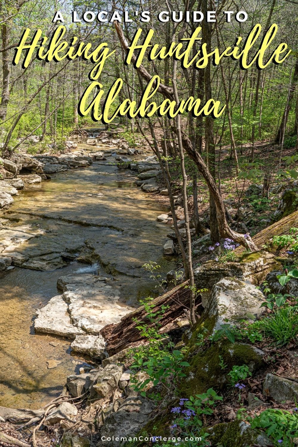 Stream and wildflowers Huntsville Alabama