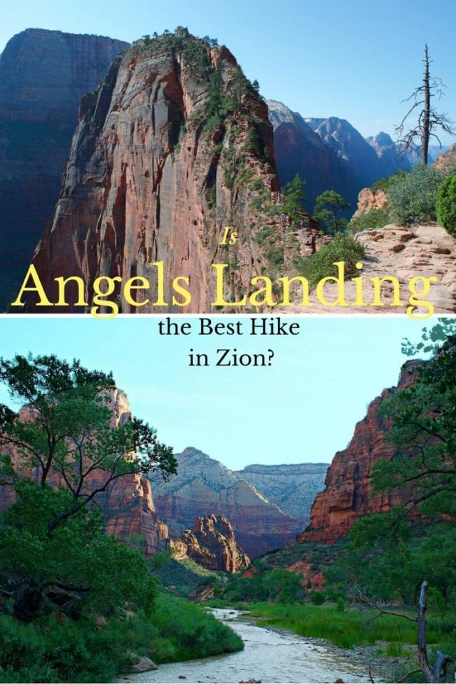 Do you dare hike Angels Landing in Zion National Park? The last 1/2 mile ridge-line with 1000 foot drops on either side is not for the faint of heart. Take the journey with us on this heart thumping hike that will leave you with a good sweat and a renewed sense of adventure. #AngelsLanding #ZionNationalPark #Hiking #Utah #Adventure