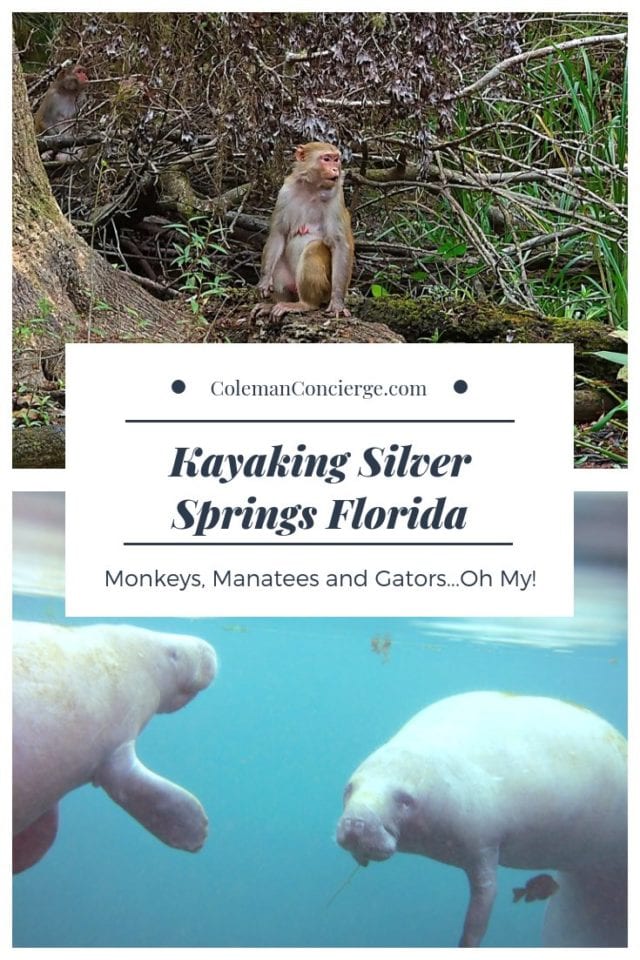 Monkey and Manatee at Silver Springs State Park