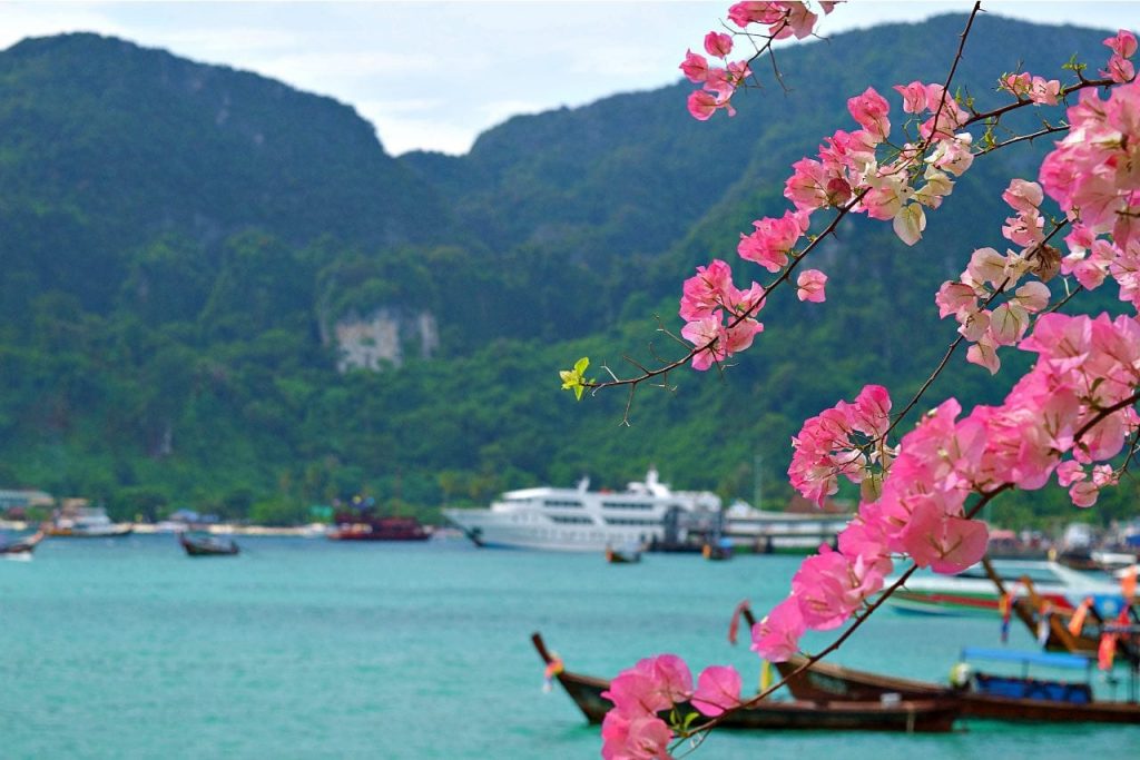 Looking out into the harbor of Koh Phi Phi through pink flowers