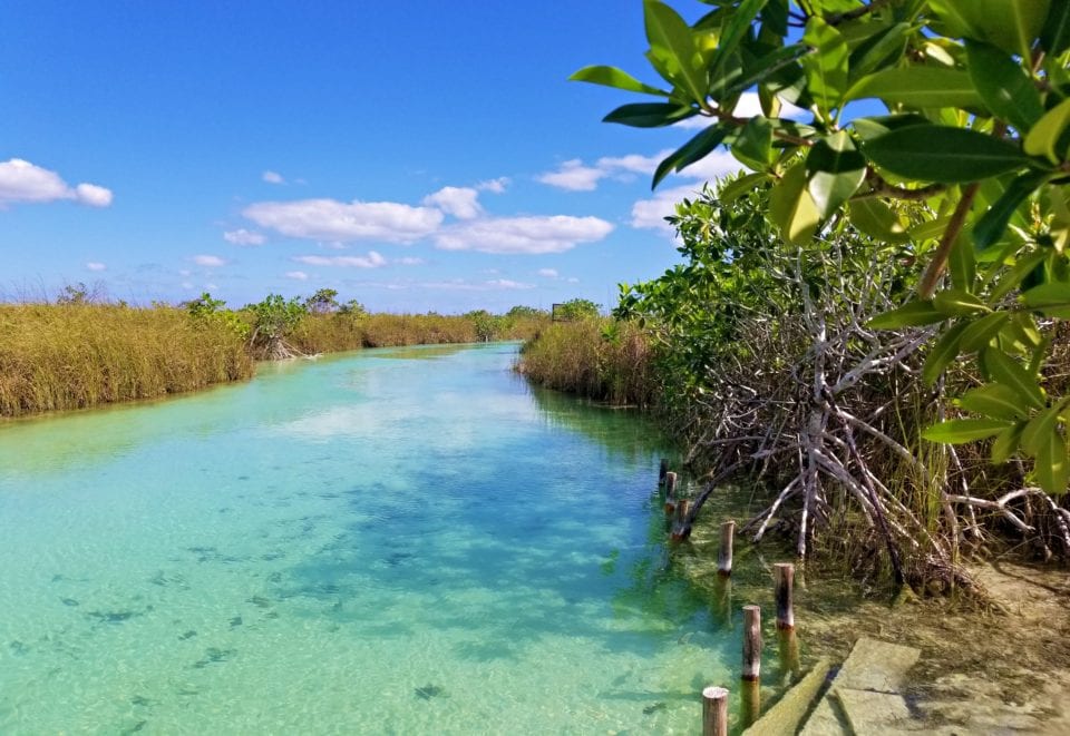 Lagoon-river-channel-Sian-Kaan-Biosphere