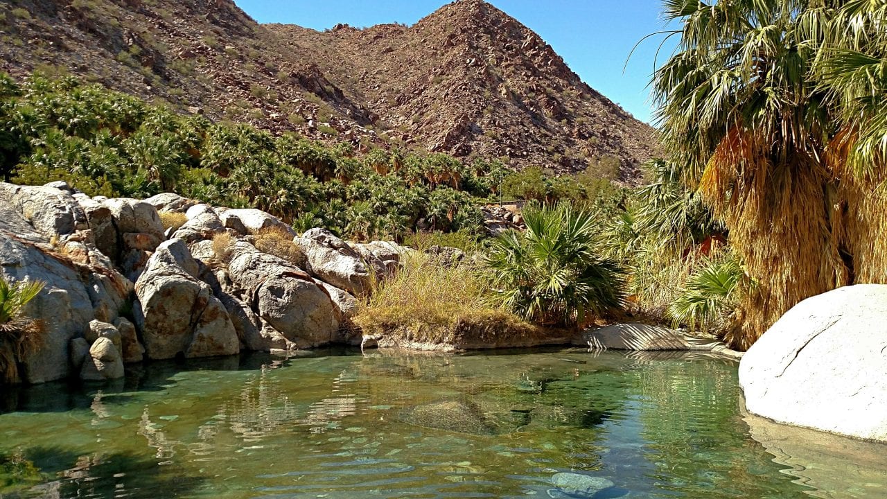 Hot springs in Guadalupe Canyon, one of the best places for Baja camping