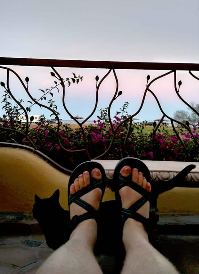 Loreto Lodging feet:Cat