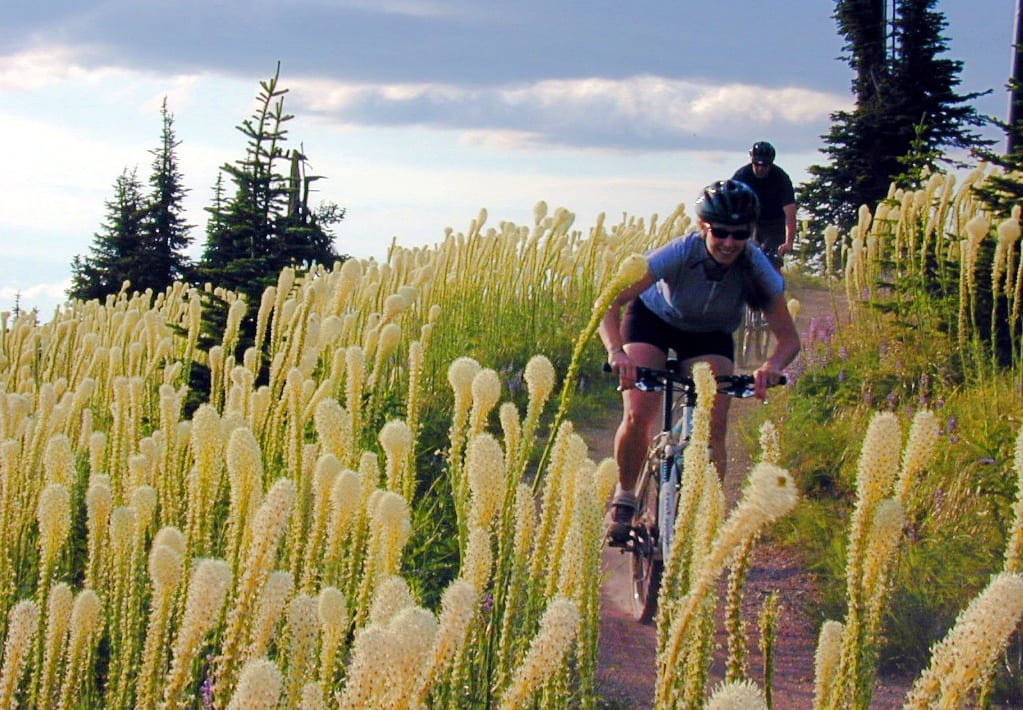 Mountain biking through the bear grass on Big Mountain above Whitefish by Brian Schott