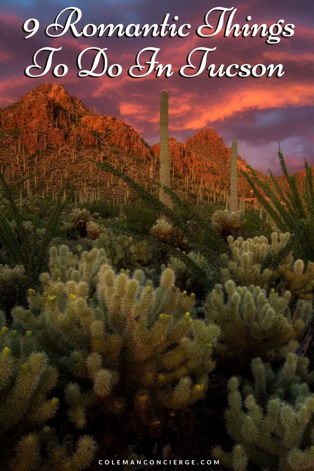 Sunset in the Tucson desert