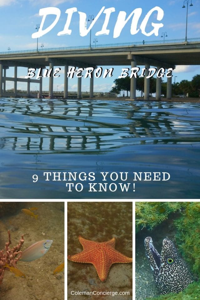 Blue Heron Bridge