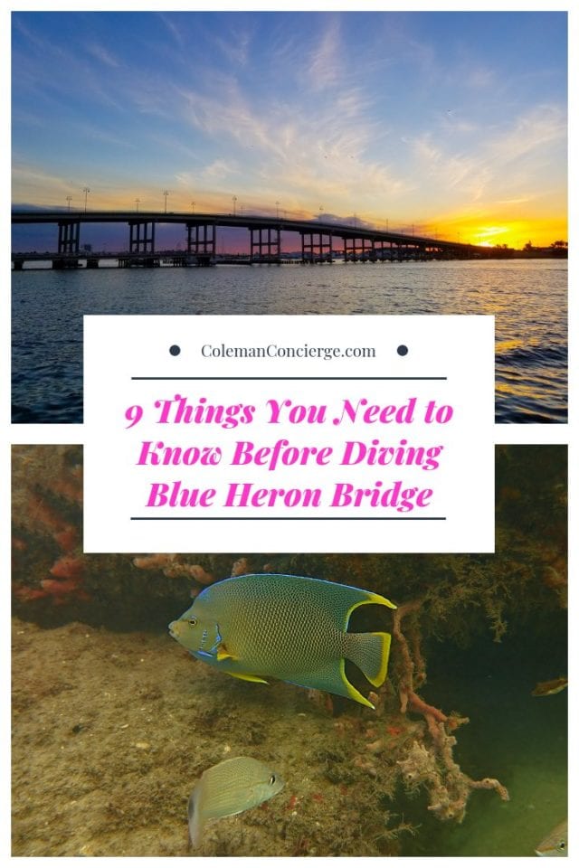 Photos of Blue Heron Bridge