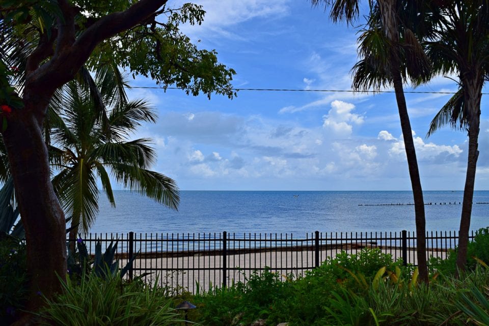 Stunning ocean view from Key West garden