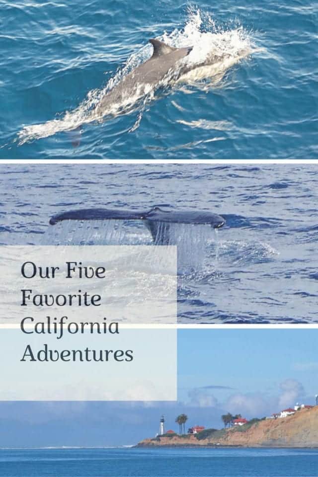 Our Five Favorite California Adventures