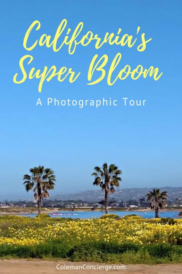 California Super Bloom