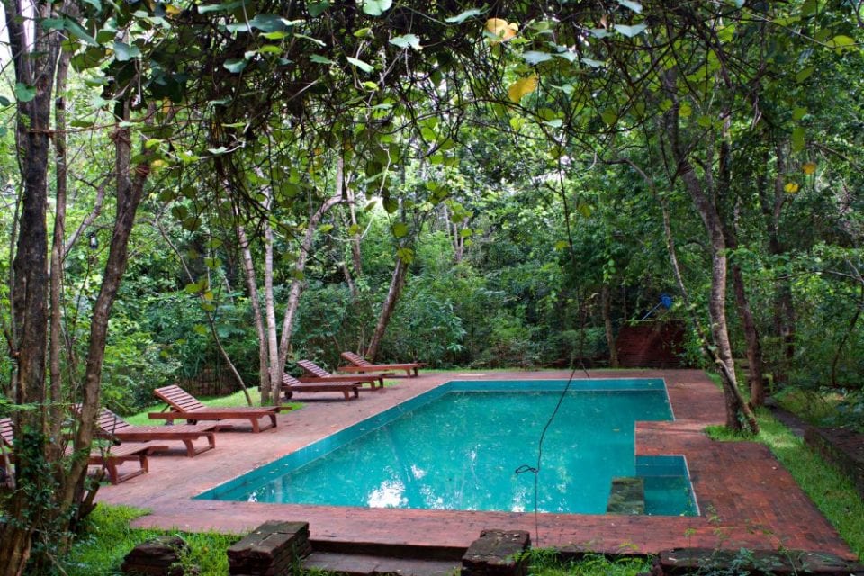 The pool at Mahagedara Wellness Retreat in Sri Lanka
