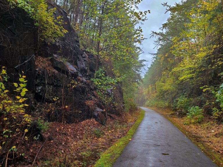 The Ultimate Chief Ladiga Trail Guide - Alabama's Premiere Rails-to-Trails Project