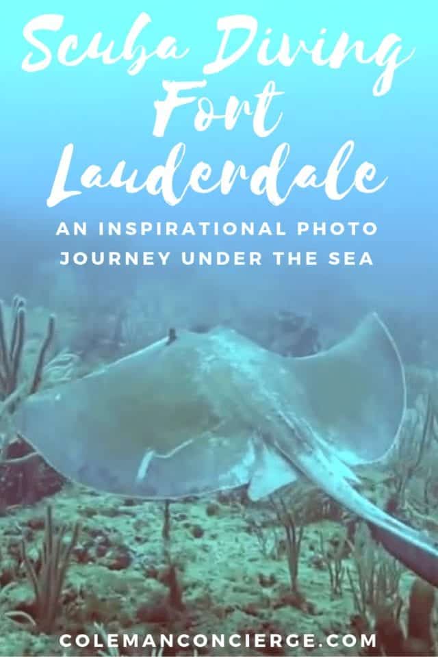 Much of South Florida's finest underwater scenery can be found in Fort Lauderdale. Ft Lauderdale boasts over 23 miles of reef and 100+ shipwrecks, so there is no shortage of things to see and explore. Join us on a photographic journey scuba diving some of South Florida's finest dive sites. #Scuba #FortLauderdale #Diving #Florida #ScubaDiving #UnderwaterPhotography
