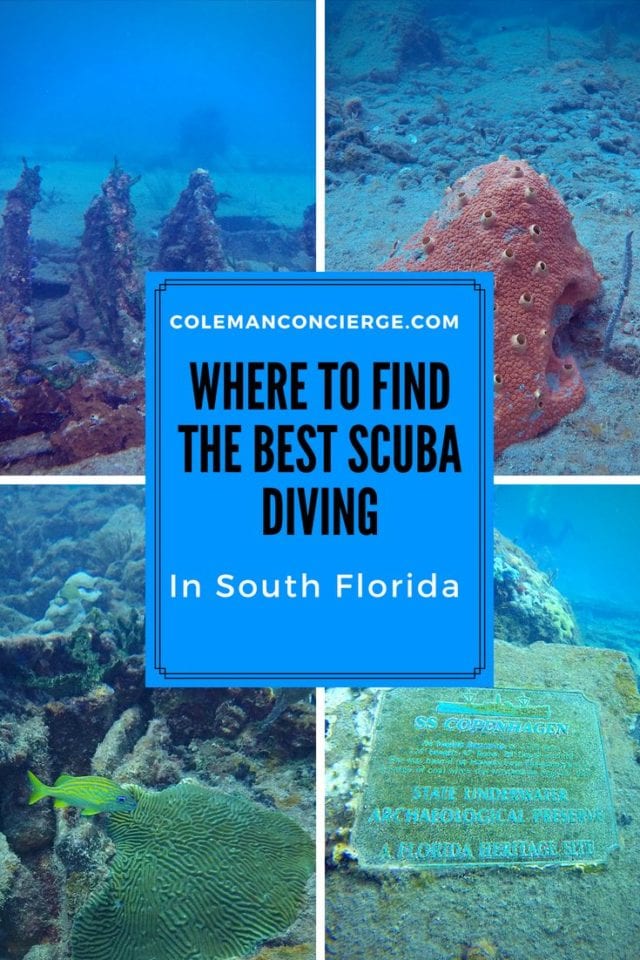 Some of Florida's most breathtaking scuba diving and snorkeling spots can be found just off the coast of Fort Lauderdale and Pompano Beach. Join us as Pompano Dive Center takes us on an underwater exploration of the SS Copenhagen Shipwreck and the nursery, home to a family of nurse sharks. Click to see why Trip Advisor's five-star dive tour operator was our choice to take us on our first trip scuba diving in Fort Lauderdale. #Scuba #Diving #FortLauderdale #ScubaDiving