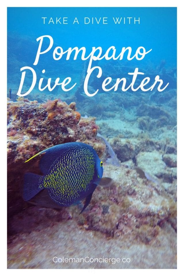 What makes Pompano Dive Center 5 star rated on Trip Advisor? Could it be their well maintained high-quality scuba gear? Maybe their knowledgeable dive pros and a wide variety of dive sites? Is it their stellar safety record? Click the link to learn all about one of the top dive shops in Florida and the amazing underwater adventure we experienced scuba diving in Fort Lauderdale. #Scuba #Diving #FortLauderdale #ScubaDiving