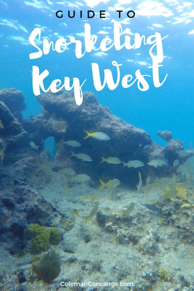 Key West has America's only living barrier reef and the 3rd largest barrier reef in the world. We're sharing the best places to go snorkeling, what to expect at each site, and how to enjoy it responsibly. #KeyWest #Snorkeling #Sustainable Tourism #Florida #TheKeys #EthicalTourism