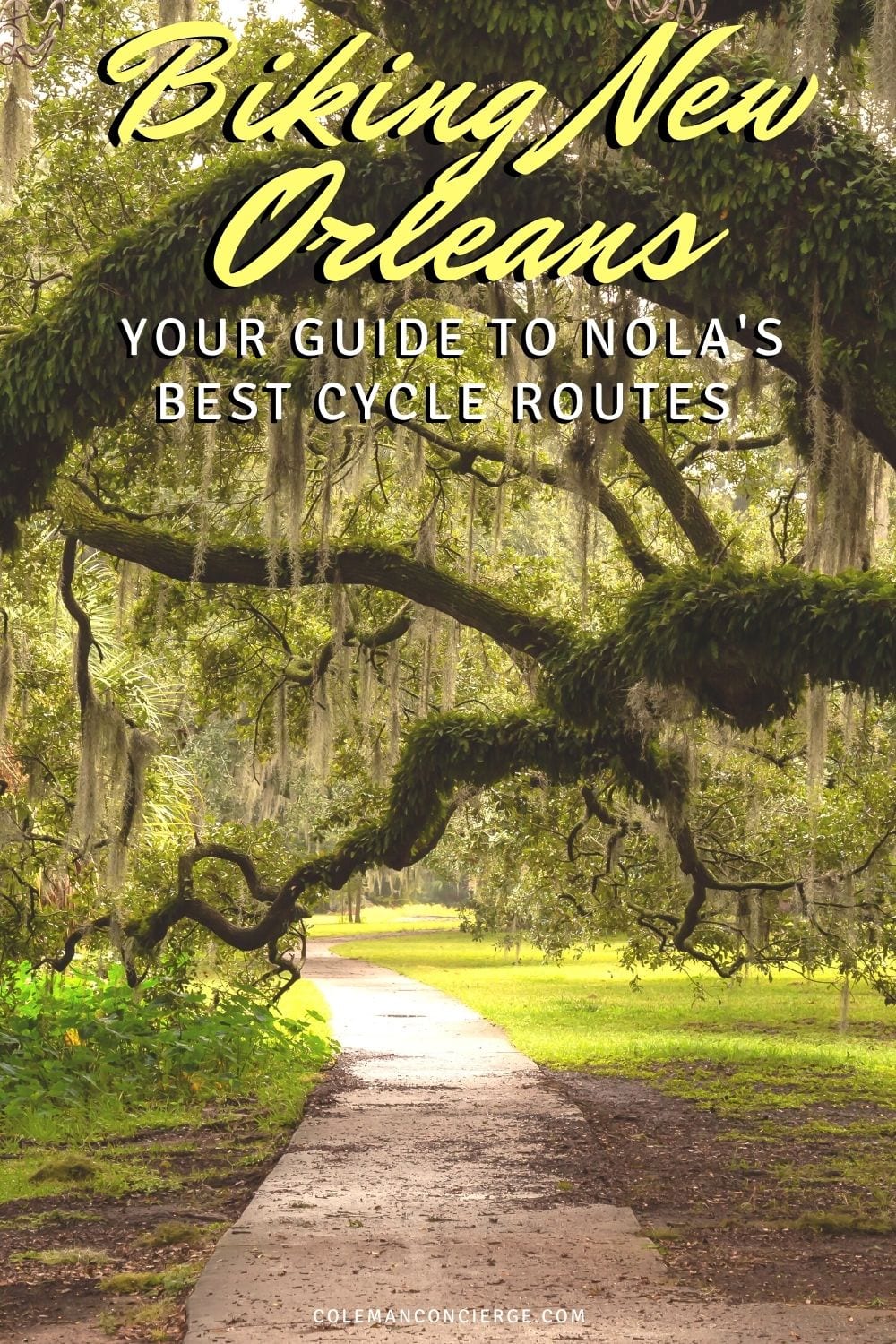 Bike trail under Oaks in New orleans