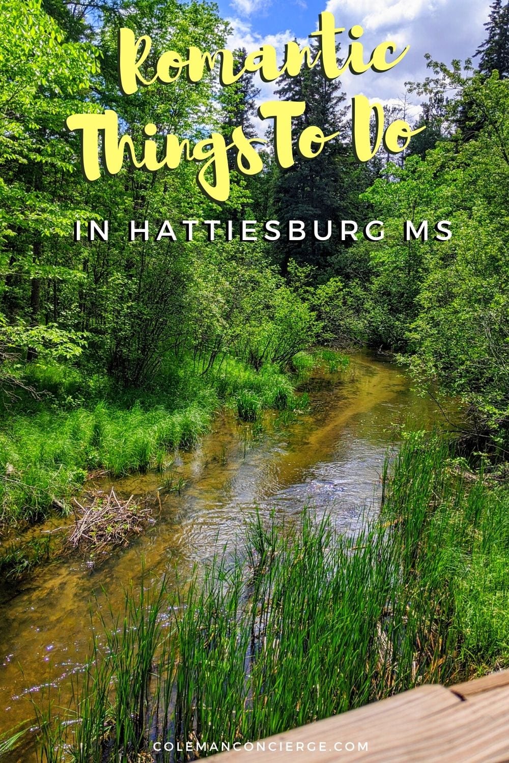 Creek in Hattiesburg Ms