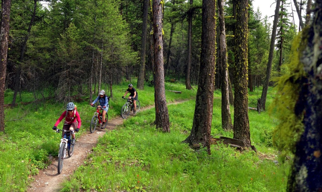 The Ultimate Guide to Biking Whitefish Montana and Glacier National Park