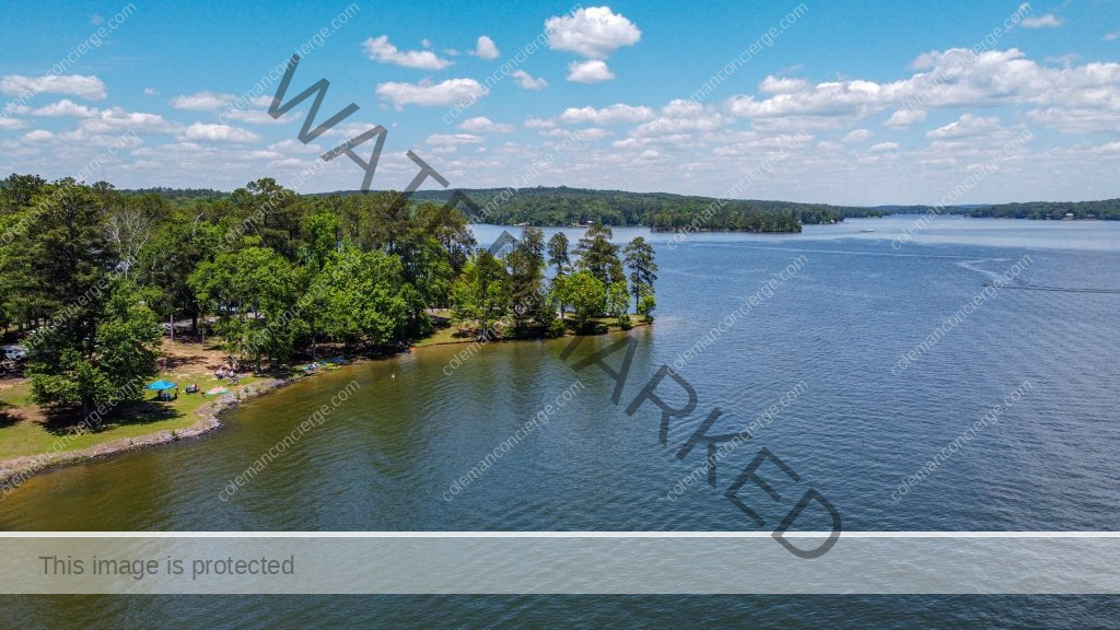 Boating Lake Martin Alabama- The Complete Guide - Coleman Concierge