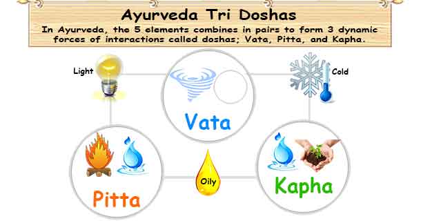 This chart explains the relationships between the three Doshas in Ayurveda