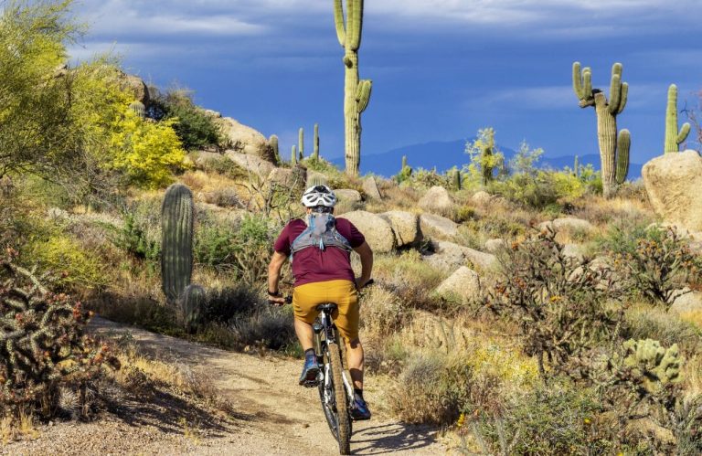 Tucson Mountain Biking - The Local's Guide to Tucson's Trails - Coleman ...