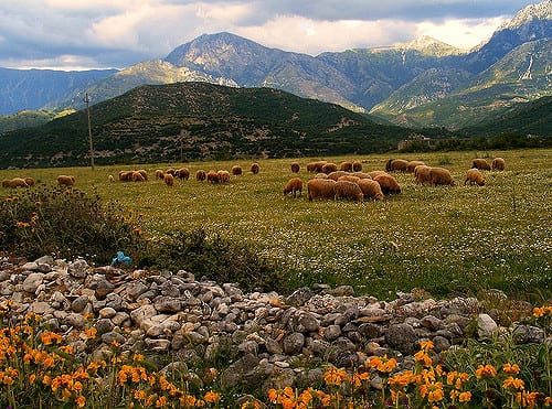 Pastoral Albania Photo by Godo Godaj (Flicker)