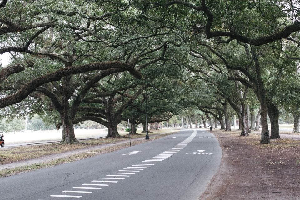 Audubon Park Bike Trail via Canva (not actually the MRT, but you can make a lap while your there...)