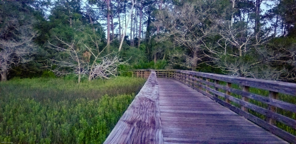 Boardwalk over the marshes just south of the Historic District