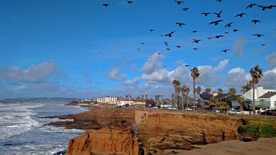 Our photo tour of Sunset Cliffs begins with blue skies and a chance of birds