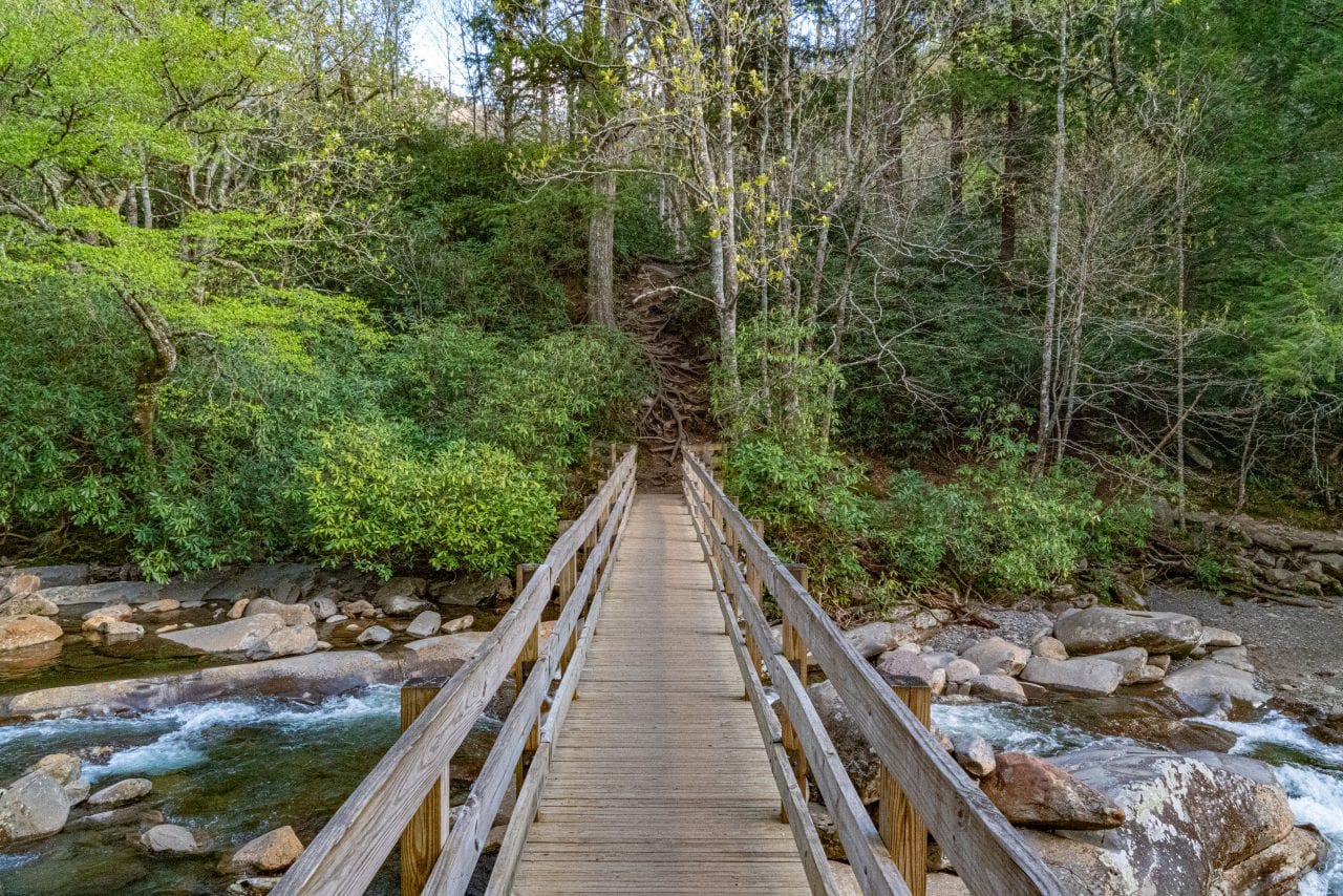 Bridge on the Chimney Tops trail