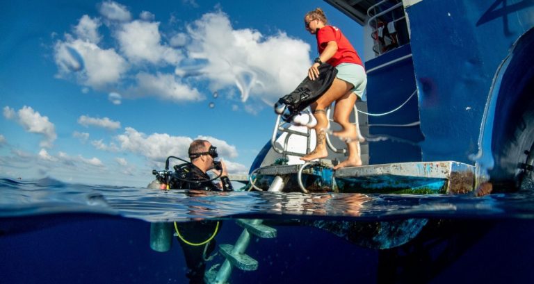 15 Liveaboard Diving Tips to Have the Best Trip Ever