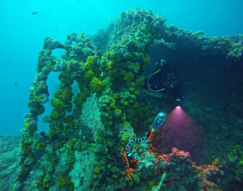 Diver exploring Ancient Mariner dive site (by Kristi Paterakis)