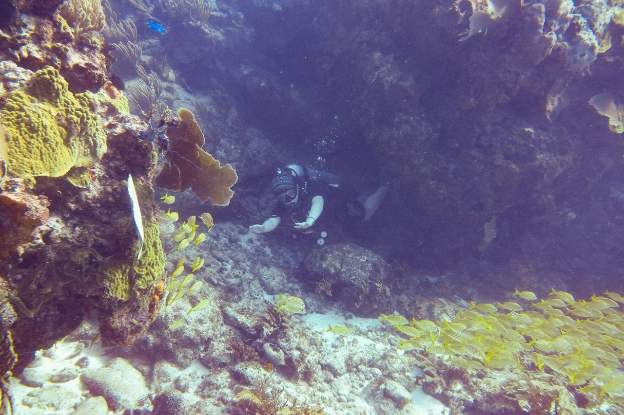 Scuba diver going through a coral swim through