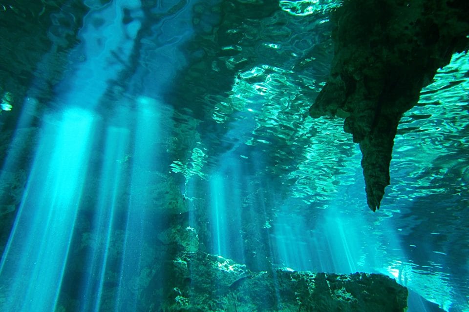 scuba diving Dos Ojos Cenote