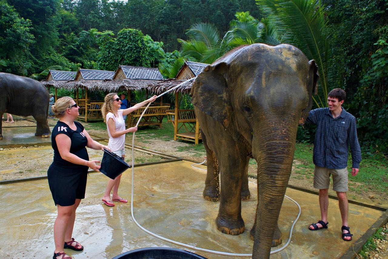 Team elephant washing