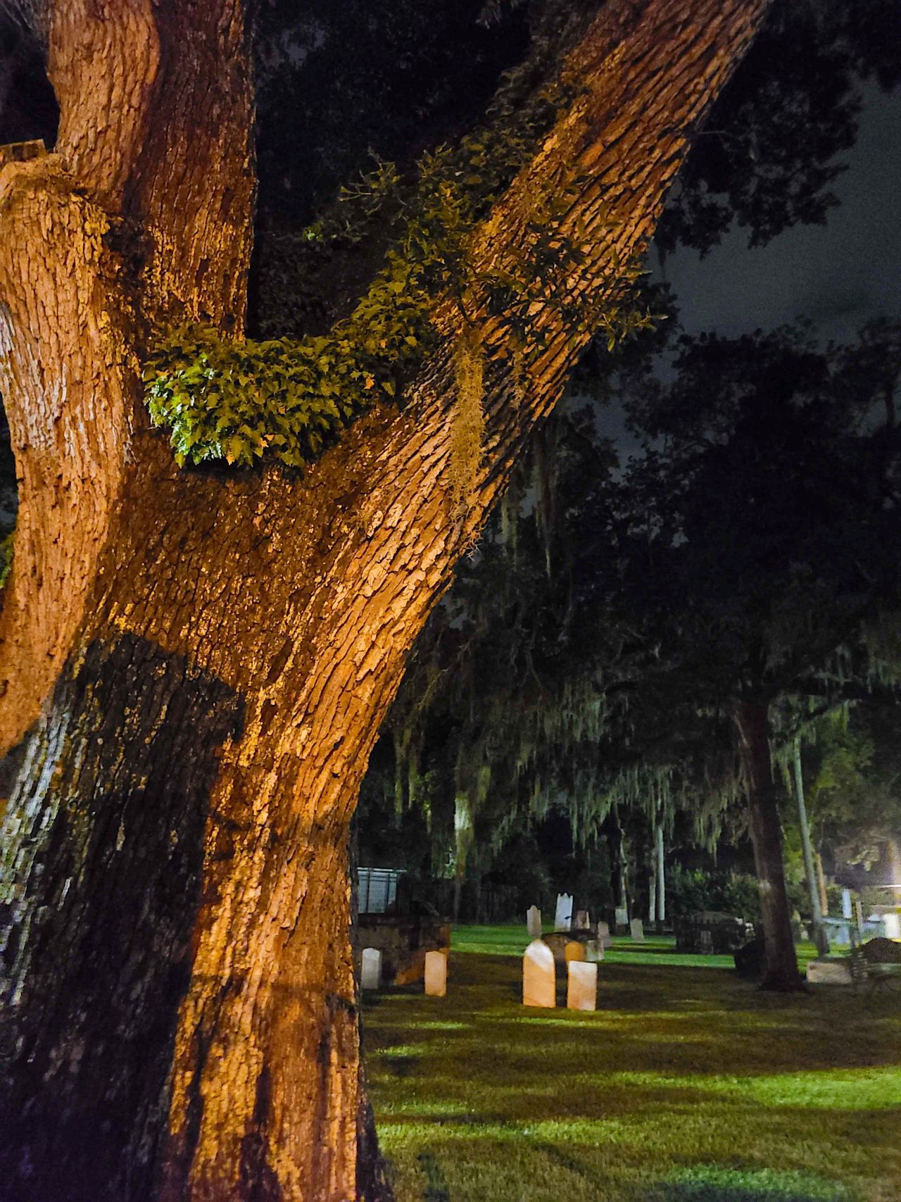 Ghost Tours St Augustine-9