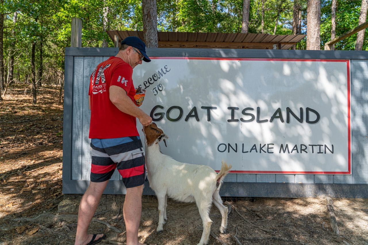 Goat Island Lake Martin