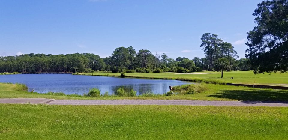 Glimpses of Golf Course Trail on Jekyll Island