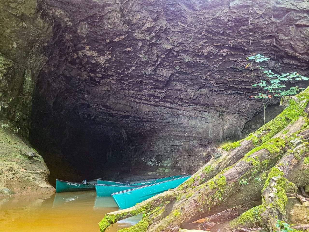 Kayak Coon Bay- Two Caves